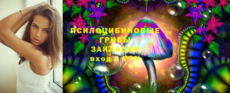 Псилоцибиновые грибы Psilocybe  Анапа 